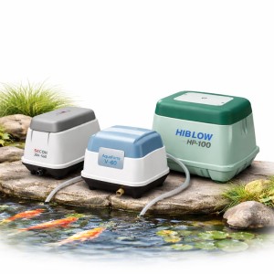 Orapūtės tvenkiniams – efektyvi vandens aeracija