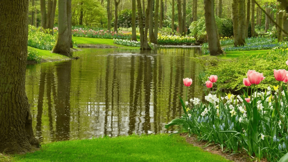 https://erumaqua.lt/image/cache/catalog/blog/2024/spring-preparation-pond-960x540.jpg-960x540.png