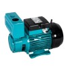 Siurblys hidroforui WZ 750 (230V) OMNIGENA
