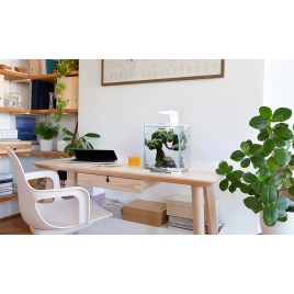 hover image