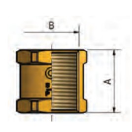 hover image