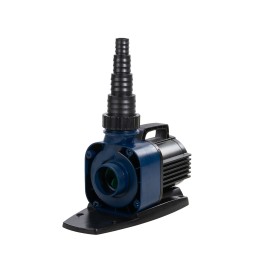 hover image