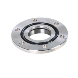 Nerūdijančio plieno flanšas su vidiniu sriegiu skirtas VGE PRO Inox Immersion UV-C